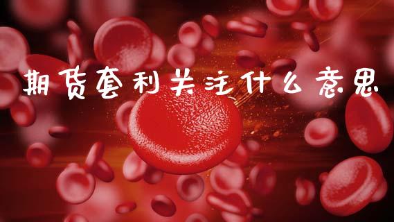 期货套利关注什么意思_https://www.kuaijiepai.net_国际期货_第1张