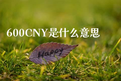 600CNY是什么意思_https://www.kuaijiepai.net_国际期货_第1张