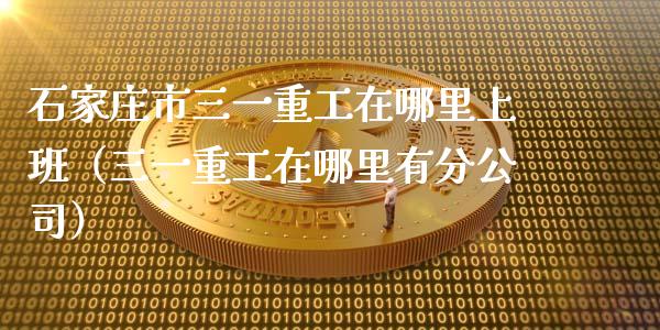 石家庄市三一重工在哪里上班（三一重工在哪里有分公司）_https://www.kuaijiepai.net_新股新闻_第1张