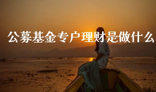 公募基金专户理财是做什么_https://www.kuaijiepai.net_投资理财_第1张