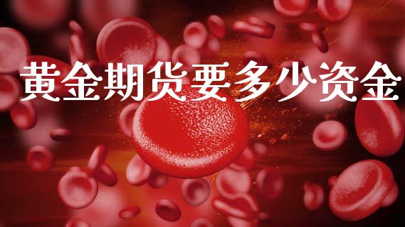 黄金期货要多少资金_https://www.kuaijiepai.net_期货资讯_第1张