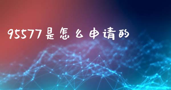 95577是怎么申请的_https://www.kuaijiepai.net_新股新闻_第1张