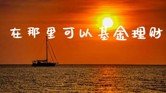 在那里可以基金理财_https://www.kuaijiepai.net_期货理财_第1张