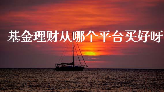 基金理财从哪个平台买好呀_https://www.kuaijiepai.net_投资理财_第1张
