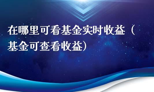 在哪里可看基金实时收益（基金可查看收益）_https://www.kuaijiepai.net_投资理财_第1张