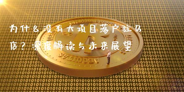 为什么没有大项目落户驻马店？深度解读与未来展望_https://www.kuaijiepai.net_股票理论_第1张