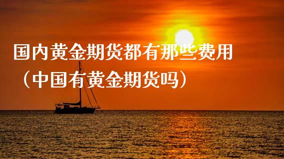 国内黄金期货都有那些费用（中国有黄金期货吗）_https://www.kuaijiepai.net_期货资讯_第1张