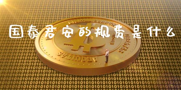 国泰君安的规费是什么_https://www.kuaijiepai.net_期货在线_第1张