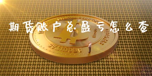 期货账户总盈亏怎么查_https://www.kuaijiepai.net_投资理财_第1张