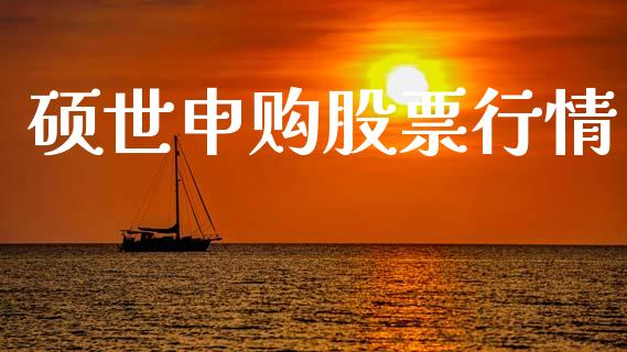 硕世申购股票行情_https://www.kuaijiepai.net_新股新闻_第1张