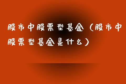股市中股票型基金（股市中股票型基金是什么）_https://www.kuaijiepai.net_期货理财_第1张