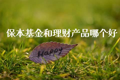 保本基金和理财产品哪个好_https://www.kuaijiepai.net_投资理财_第1张