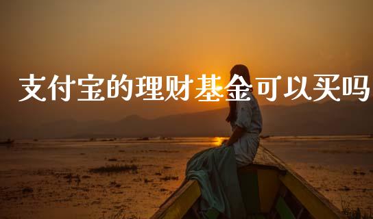 支付宝的理财基金可以买吗_https://www.kuaijiepai.net_投资理财_第1张