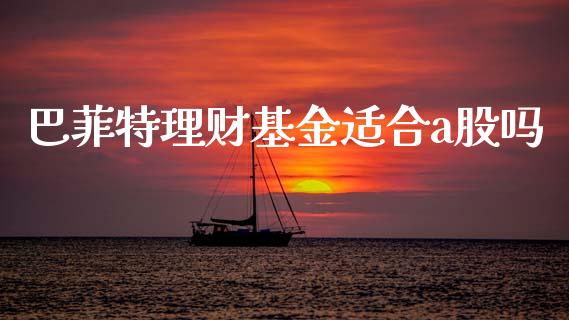 巴菲特理财基金适合a股吗_https://www.kuaijiepai.net_投资理财_第1张