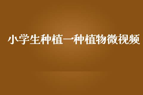 小学生种植一种植物微视频_https://www.kuaijiepai.net_期货资讯_第1张