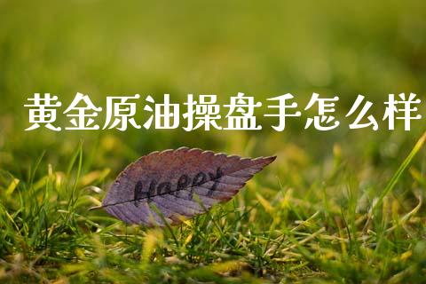 黄金原油操盘手怎么样_https://www.kuaijiepai.net_投资理财_第1张