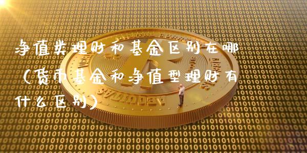 净值类理财和基金区别在哪（货币基金和净值型理财有什么区别）_https://www.kuaijiepai.net_投资理财_第1张