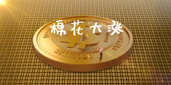 棉花大涨_https://www.kuaijiepai.net_期货资讯_第1张