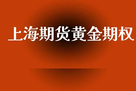 上海期货黄金期权_https://www.kuaijiepai.net_国际期货_第1张