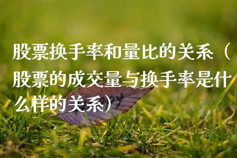 股票换手率和量比的关系（股票的成交量与换手率是什么样的关系）_https://www.kuaijiepai.net_国际股建_第1张
