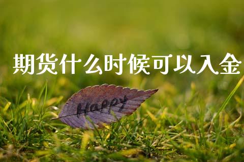 期货什么时候可以入金_https://www.kuaijiepai.net_期货资讯_第1张