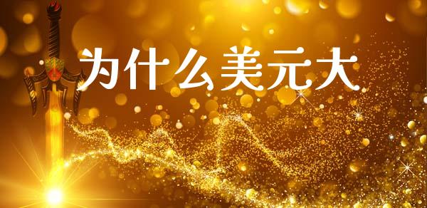 为什么美元大_https://www.kuaijiepai.net_国际股建_第1张