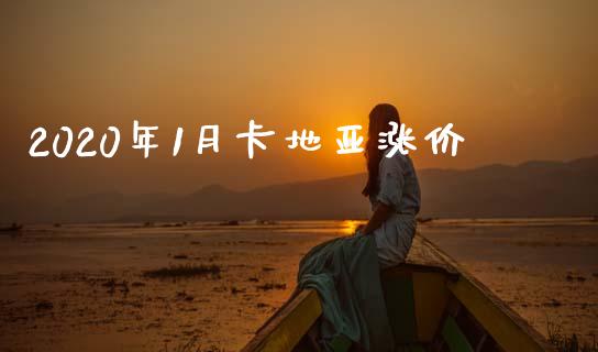 2020年1月卡地亚涨价_https://www.kuaijiepai.net_国际期货_第1张