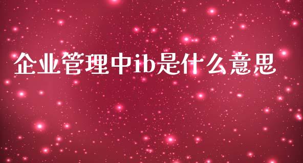 企业管理中ib是什么意思_https://www.kuaijiepai.net_股票理论_第1张