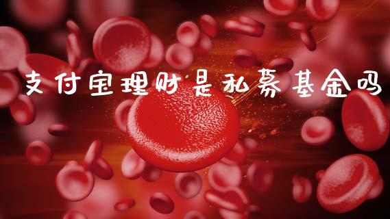支付宝理财是私募基金吗_https://www.kuaijiepai.net_投资理财_第1张