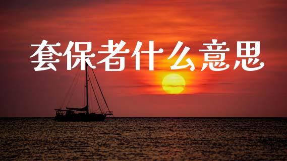 套保者什么意思_https://www.kuaijiepai.net_期货资讯_第1张