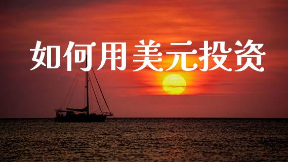 如何用美元投资_https://www.kuaijiepai.net_期货在线_第1张