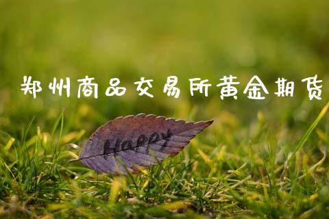 郑州商品交易所黄金期货_https://www.kuaijiepai.net_期货资讯_第1张