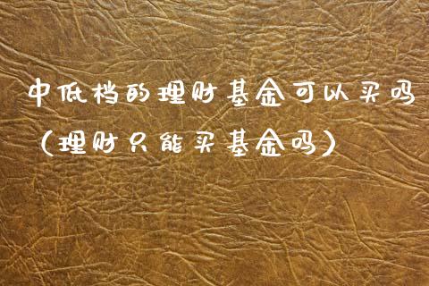 中低档的理财基金可以买吗（理财只能买基金吗）_https://www.kuaijiepai.net_投资理财_第1张