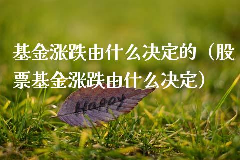 基金涨跌由什么决定的（股票基金涨跌由什么决定）_https://www.kuaijiepai.net_投资理财_第1张