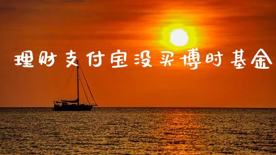理财支付宝没买博时基金_https://www.kuaijiepai.net_投资理财_第1张