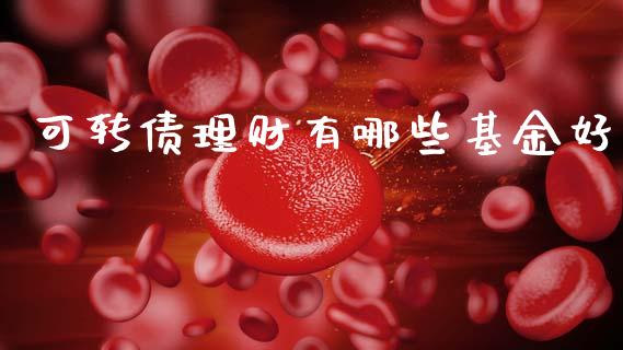 可转债理财有哪些基金好_https://www.kuaijiepai.net_期货理财_第1张