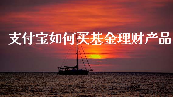 支付宝如何买基金理财产品_https://www.kuaijiepai.net_期货理财_第1张