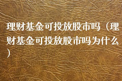 理财基金可投放股市吗（理财基金可投放股市吗为什么）_https://www.kuaijiepai.net_期货理财_第1张