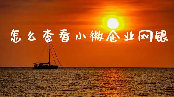 怎么查看小微企业网银_https://www.kuaijiepai.net_期货在线_第1张