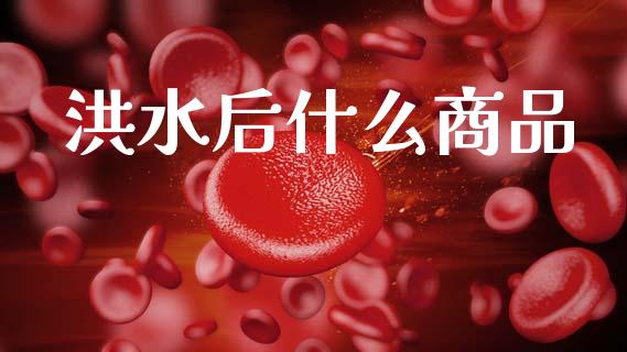 洪水后什么商品_https://www.kuaijiepai.net_国际股建_第1张
