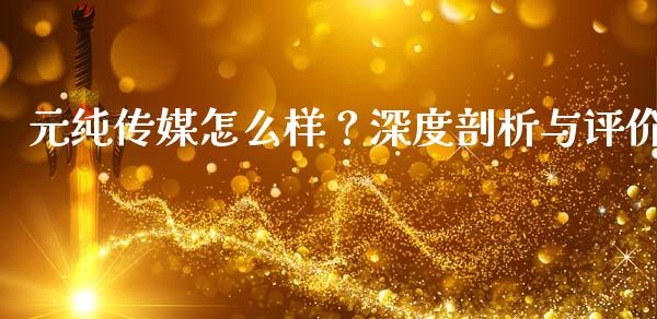 元纯传媒怎么样？深度剖析与评价_https://www.kuaijiepai.net_国际股建_第1张