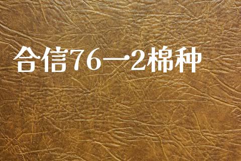合信76一2棉种_国际期货_第1张_快捷排财经网 合信76一2棉种_https://www.kuaijiepai.net_国际期货_第1张