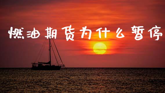 燃油期货为什么暂停_https://www.kuaijiepai.net_国际期货_第1张