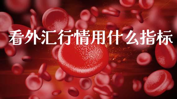 看外汇行情用什么指标_https://www.kuaijiepai.net_国际股建_第1张