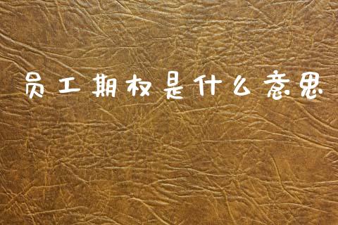 员工期权是什么意思_https://www.kuaijiepai.net_国际期货_第1张