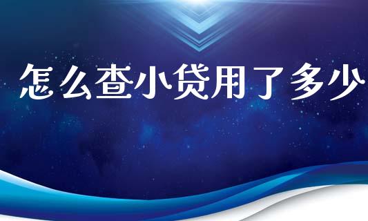 怎么查小贷用了多少_https://www.kuaijiepai.net_股票理论_第1张