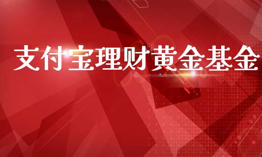 支付宝理财黄金基金_https://www.kuaijiepai.net_投资理财_第1张