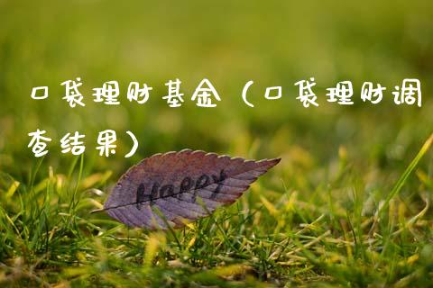 口袋理财基金（口袋理财调查结果）_https://www.kuaijiepai.net_投资理财_第1张