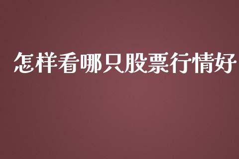 怎样看哪只股票行情好_https://www.kuaijiepai.net_国际股建_第1张