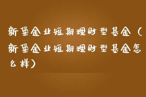 新堡金业短期理财型基金（新堡金业短期理财型基金怎么样）_https://www.kuaijiepai.net_期货理财_第1张
